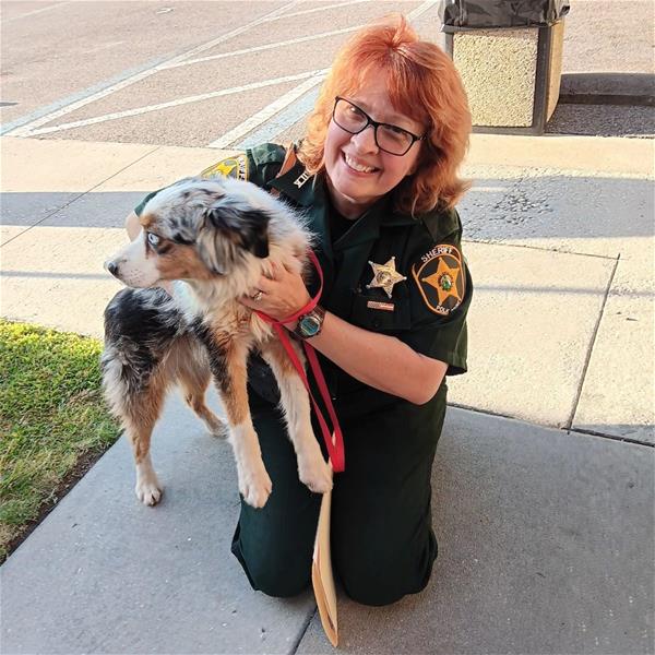 Animal Services & Adoption Polk County Sheriff's Office